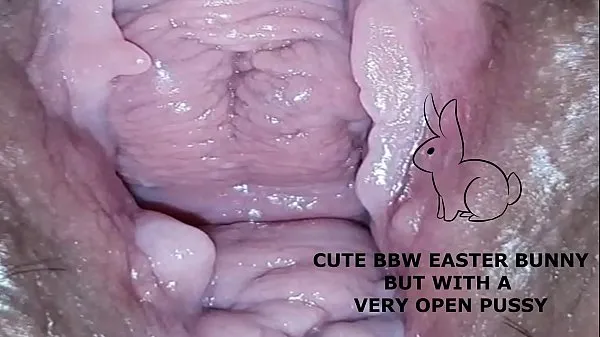 XXX Cute bbw bunny, but with a very open pussy mega rør