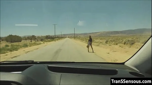 XXX Transsexual hitchhiker fucked in the ass megarør