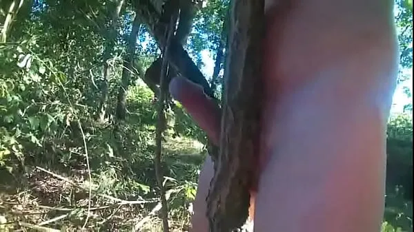XXX fuck tree deep forest mega cső