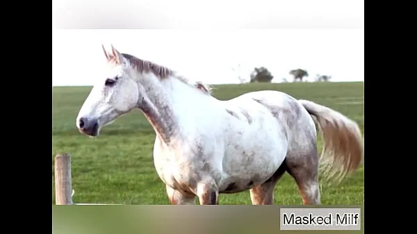 XXX Horny Milf takes giant horse cock dildo compilation | Masked Milf巨型管