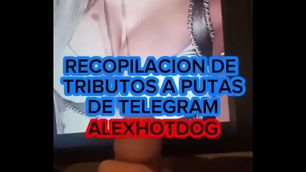 XXX COMPILATION OF TRIBUTES TO TELEGRAM WHORES VOL1 ALEXHOTDOG mega rør